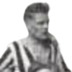 Vester Voitto