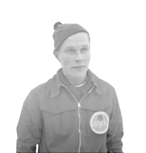 Reino ARVOLA