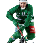 Nurmi Santtu