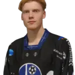 Niko Nikunen