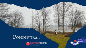 Pohdintaa