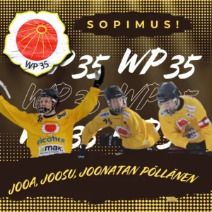 WP35 solmi juniorisopimukset Pöllästen veljesten kanssa