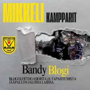 Kamppareiden kotisivuilta löytyy helmi