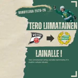 Tero Liimatainen palaa Hammarbyhyn