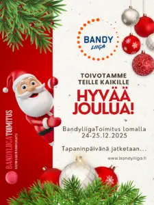 Hyvää Joulua!